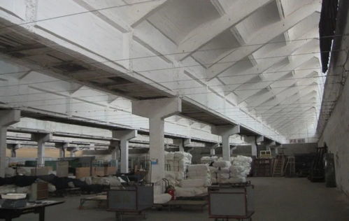 運河明珠再煥新生 絲聯166與聯達機械續寫工業記憶